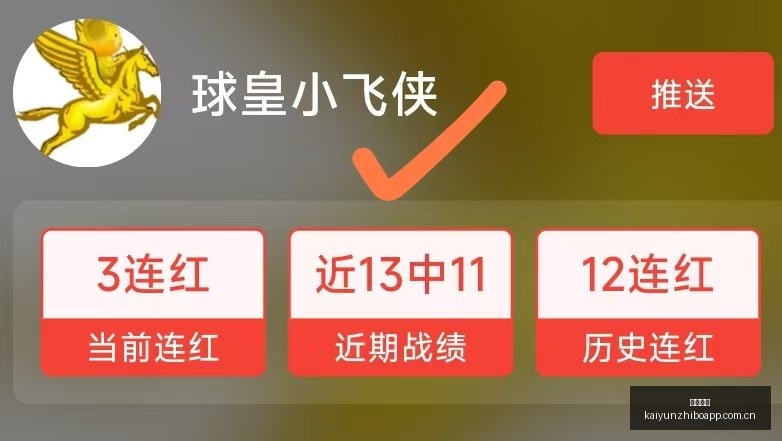 尼科伤情解,哥哥心声透,西班牙晋级,开云直播,赛事直播平台,足球比赛直播,篮球比赛直播,体育赛事资讯