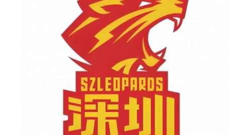 恩佐头球破门，帕尔默助攻，切尔西领跑联赛！