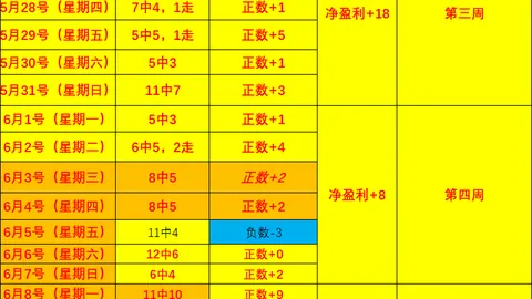终极攻略瑞士对加拿大对决分析：默契平局背后，胜负悬念待揭晓